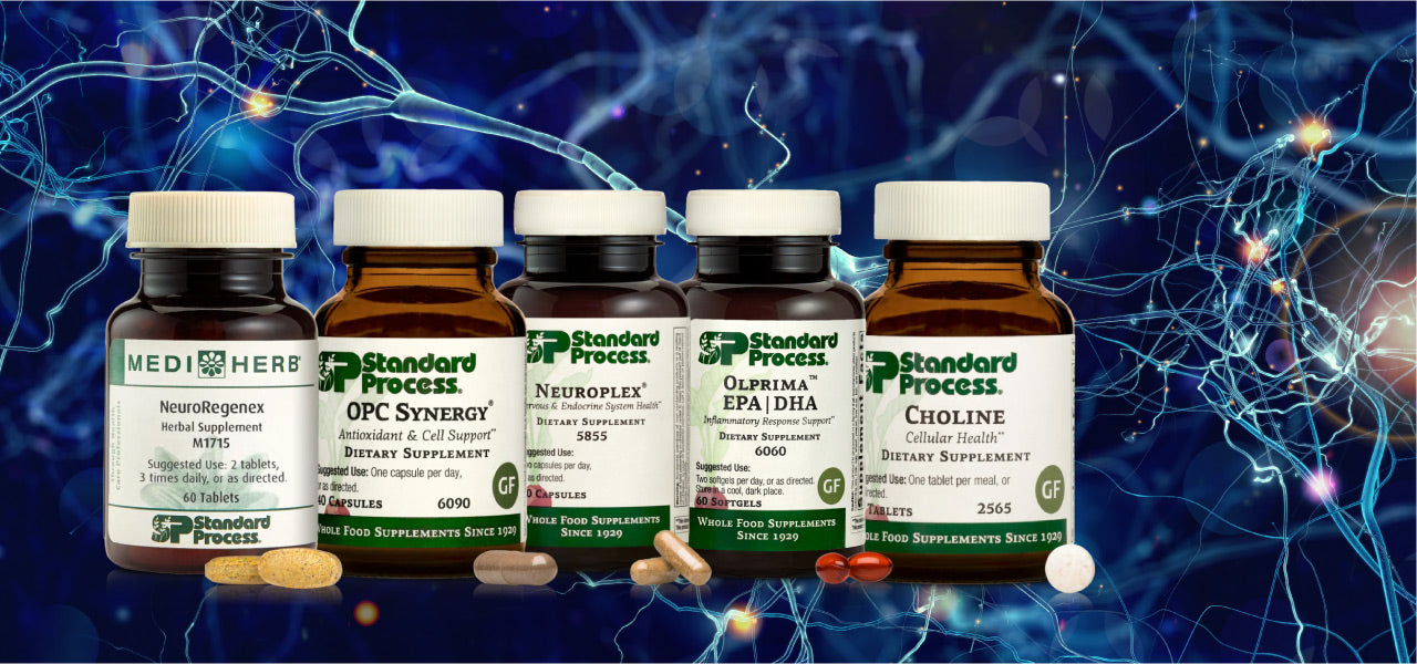 Top 5 Cognitive Support Supplements for Focus & Memory