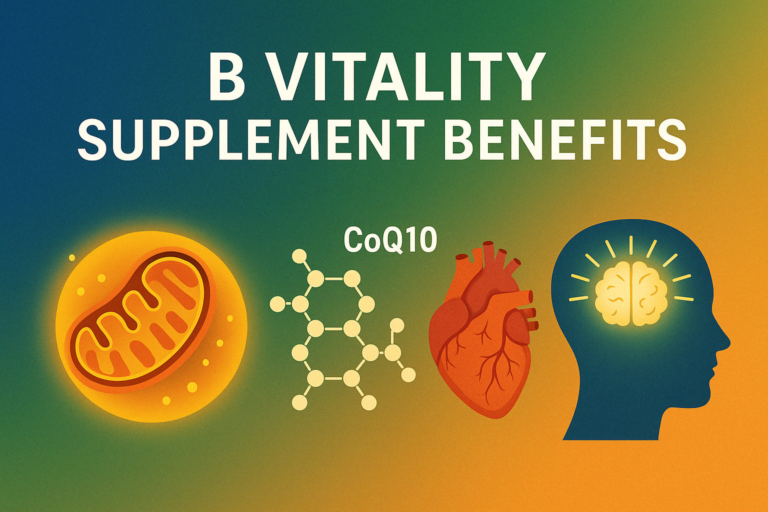 B Vitality Supplement Benefits