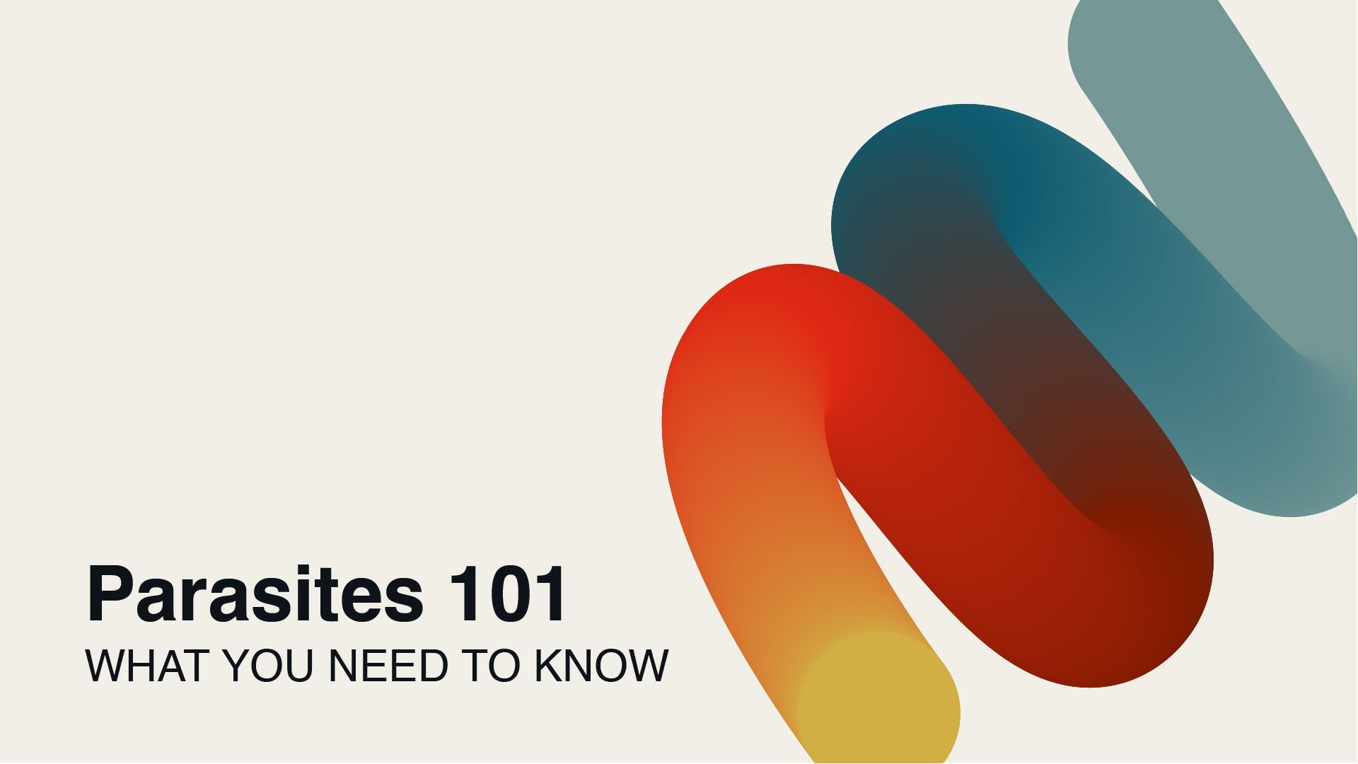 Parasite Cleansing 101: What You Need To Know