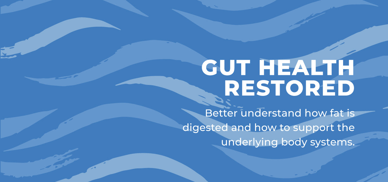 Gut Health Restored - Fat Digestion