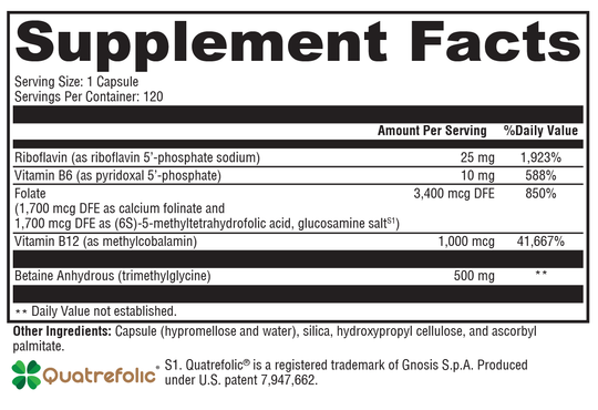 Methyl Protect® 120 Capsules Supplement Facts